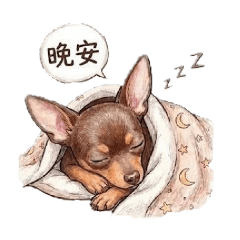 迷你杜賓-球球 第二彈