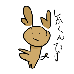 nameco_20260330025914