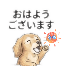 kurumin_20260330032306