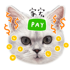 雞塊和妹妹的日常用語2.0