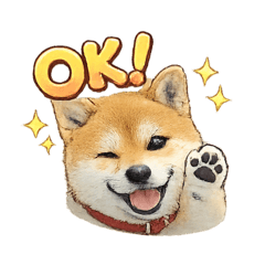 MARU 20200222_20260330