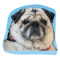 haruuu_20260329182032