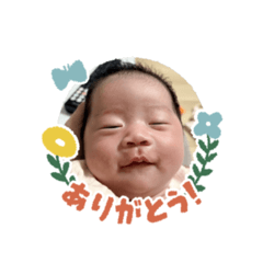 nikochan_20260329181611