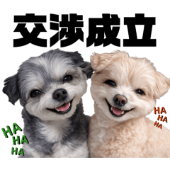 marukoro_20260330000821