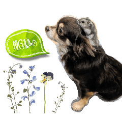 yossymaki_20260330101442