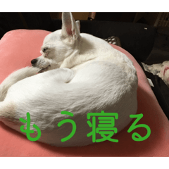 MERASOUMA_20260329184133