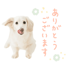 Rechel_20260330130235