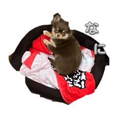 Pero2800_20260330102310