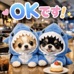 飛び出す♡変身チワワ