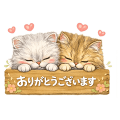 Fluffy Cats Rikka & Karin Polite Phrases