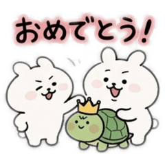 Nomadic Cat Designs_20260329033522