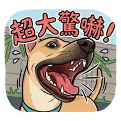 來福的菜園日記