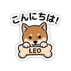 Coeri_20260330144505