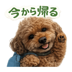 TAKUMA_20260329090514