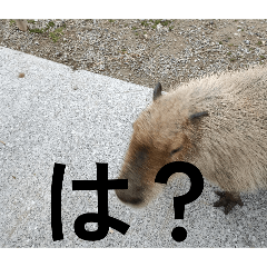 Takuma_20260329111542