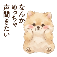 Pomeranian (spoiled child)
