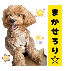 sakichim_20260330010903