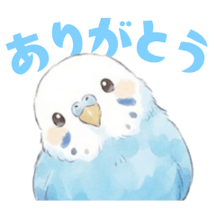 Budgie [Blue] Stickers