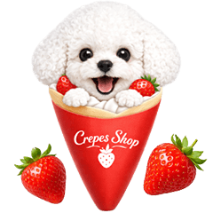 cute sweet dog toy poodle