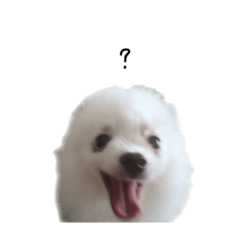 kitamura_20260330011611