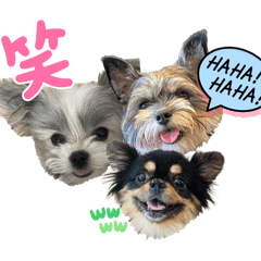 Gacchi_20260326222750