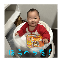 tkd_20260326235730
