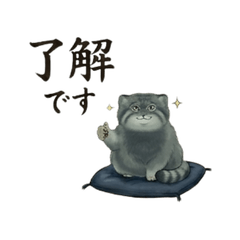 Basic Greetings of the Pallass Cat