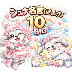 Schnauzer Quotes (?!) Vol.10