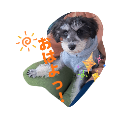 Touka._20260329142120