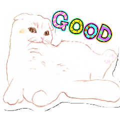 maimai_20260329144259