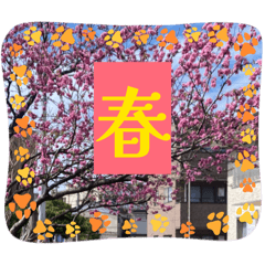 HAPPY_20260329151724