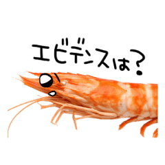 A wide variety of shrimp