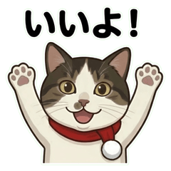 Energetic tabby-and-white cat Tuna