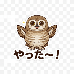 Cute Owl Daily Stickers-2