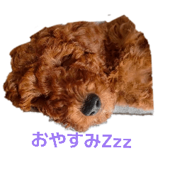 yamaGUCCI_20260329171535