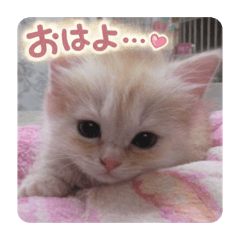 HanaHana_20260329174639