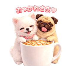 Haru & Latte_20260329181340