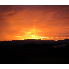 susukino yorei_20260329190534