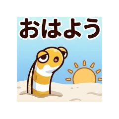 Kazuki_20260329190508