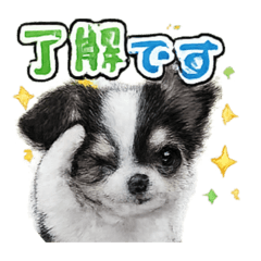 riaria_20260329192959