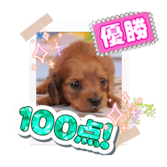 miyumiyu_20260329194722