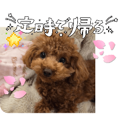 moka_life_20260329195612