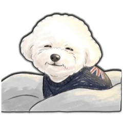 toyomy_20260329195405