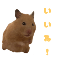 poteto_20260329195755