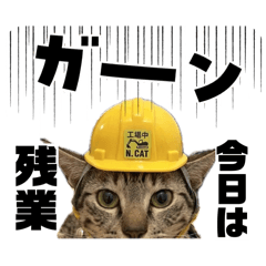 nekoko_20260329200329