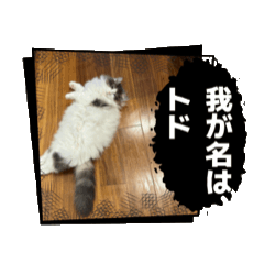 balloon_20260330141636