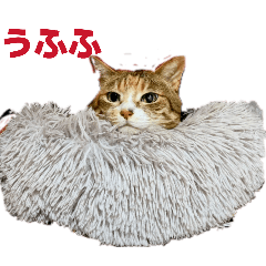 UKOARA_20260329171255