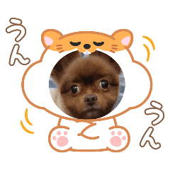 lovepurin_20260330131850