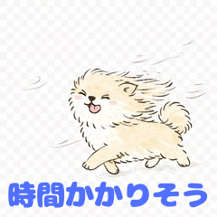 Pomeranian: Daily Conversation 2