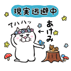 あけみ専用 目付きの悪い猫